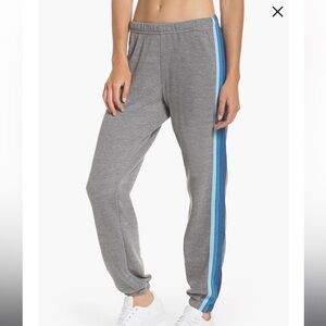 Aviator Nation Stripe Sweatpants Heather Grey/ Blue Stripes